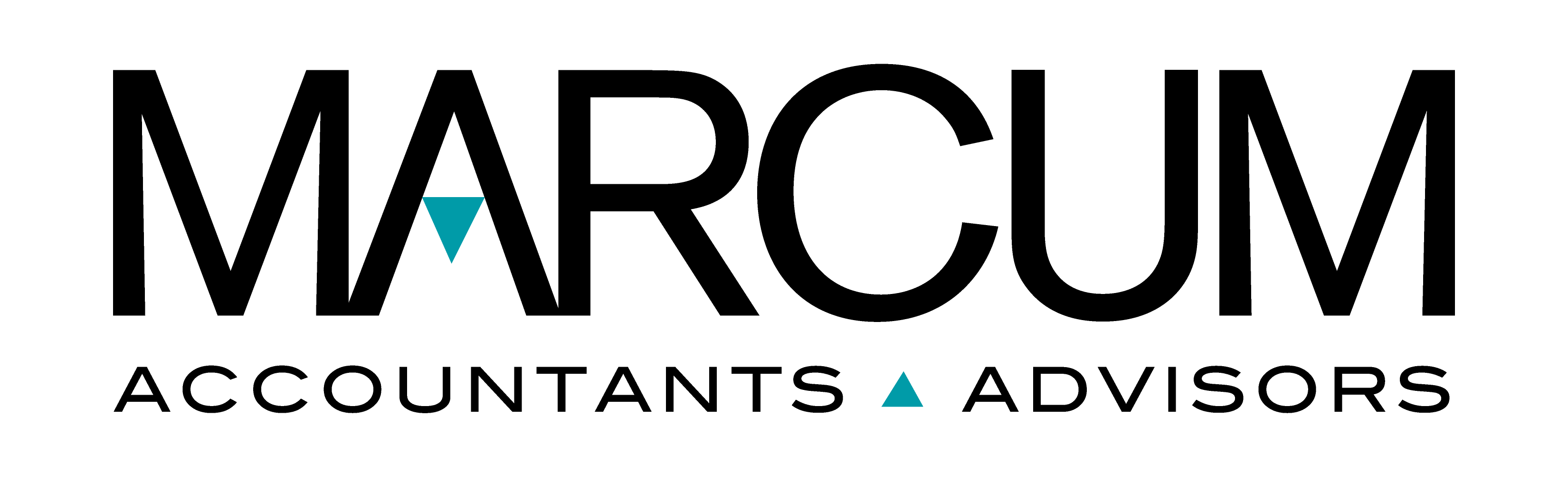 Budget Template NH Center For Nonprofits budget-template-nh-center-for-nonprofits